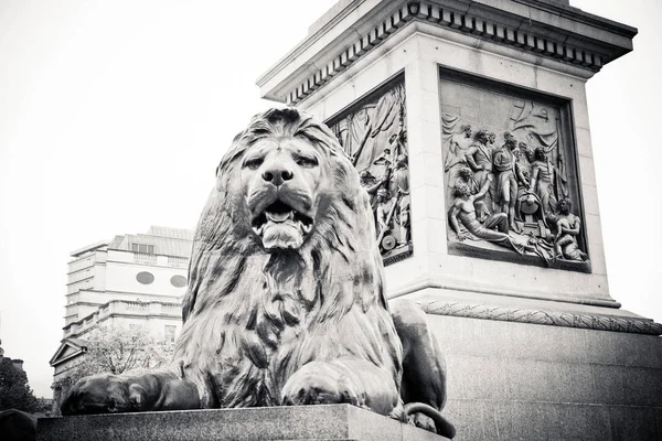 Памятник Льву на Трафальгарской площади — стоковое фото