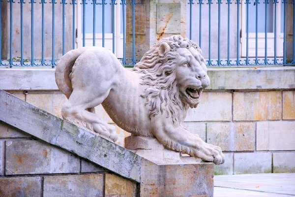 Sculpture du lion dans le parc de Varsovie Lazienki — Photo