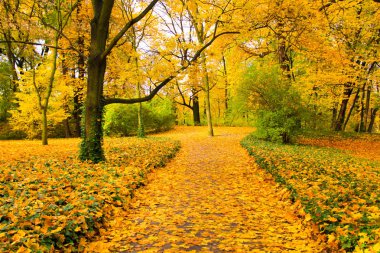 Varşova 'daki Lazienki Parkı