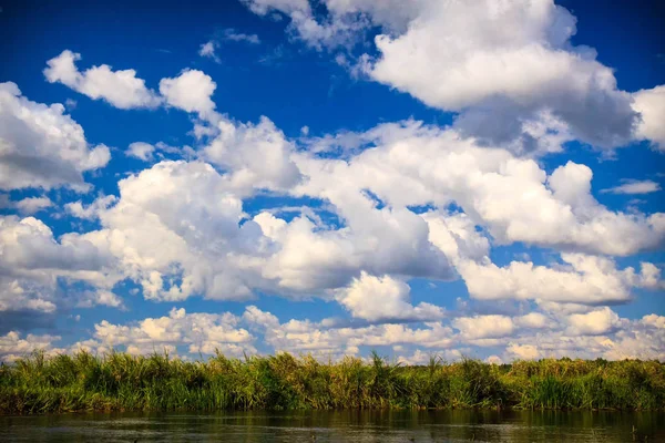 Biebrza river landscape — Stock Photo, Image