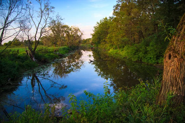 Biebrza river landscape — Stock Photo, Image