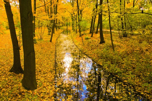 Lazienki Park Varsóban — Stock Fotó