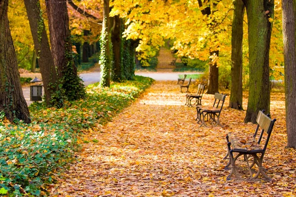 Varşova 'daki Lazienki Parkı