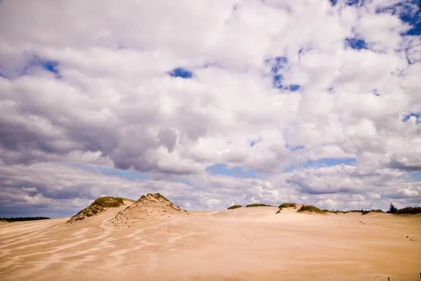 The moving sands in the Polish Desert near Leba — Stock Photo, Image