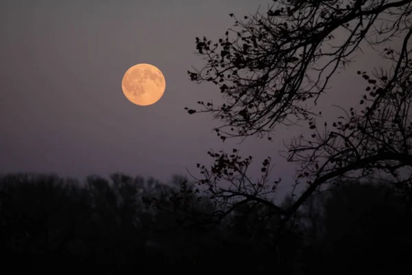Luna piena che sorge Foto Stock