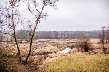 Kış aylarında Lehçe doğa