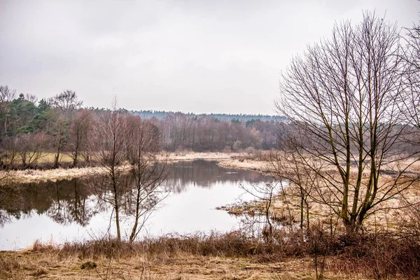Polish nature during winter — Stock Photo, Image