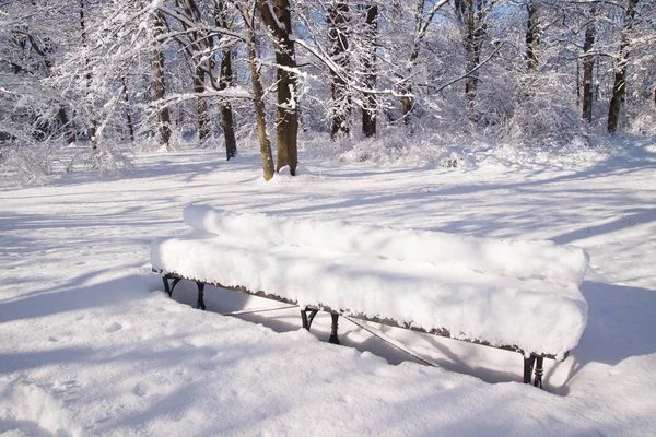 Rami Coperti Neve Nel Parco Varsavia Lazienki Durante Inverno Polonia — Foto Stock