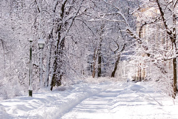 Snowy Lazienki Park Warsaw Poland — Stock Photo, Image