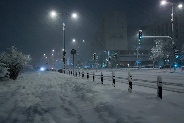 Par Linda Ardilla Eurasiática Roja Parque Cubierto Nieve Lazienki Varsovia — Foto de Stock