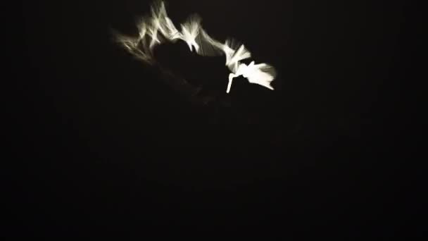 Brinnande tomtebloss svävar i luften — Stockvideo