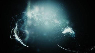 parlak yıldız ile köpüklü iz  