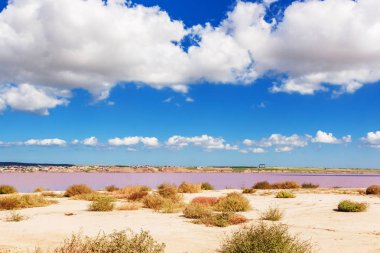 Pembe Tuz Gölü Masazirgol  