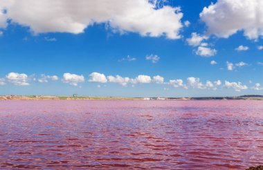 Pembe Tuz Gölü Masazirgol  