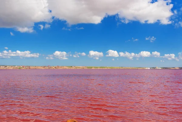 Lac salé rose Masazirgol — Photo