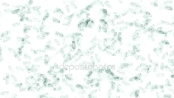 Przenoszenie drobnoustrojów pod mikroskopem — Wideo stockowe