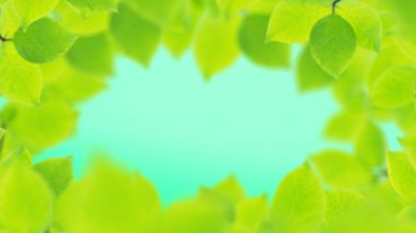 Bahar arka plan, güzel yeşil yaprakların doğal çerçeve