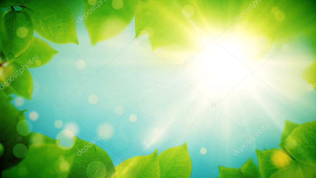 Summer background, natural frame of beautiful green leaves
