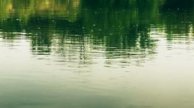 Rüzgar küçük dalgalar ile hareket su Nehri yüzeyi