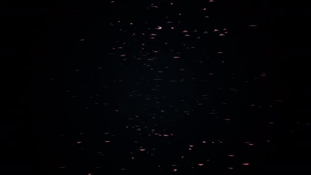 Particules de poussière abstraites en mouvement — Video