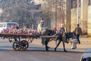 Bir eşek arabası taşımaları sebze erkekte 