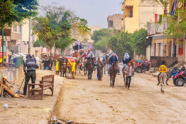 Turistas en camello — Foto de Stock