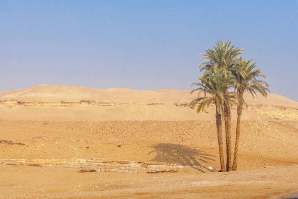 Piramide del faraone Djoser — Foto Stock