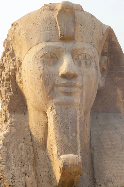 Статуя Рамсеса II — стокове фото
