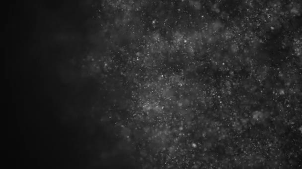 Dust particles, abstract floating particles on black background — Stock Video