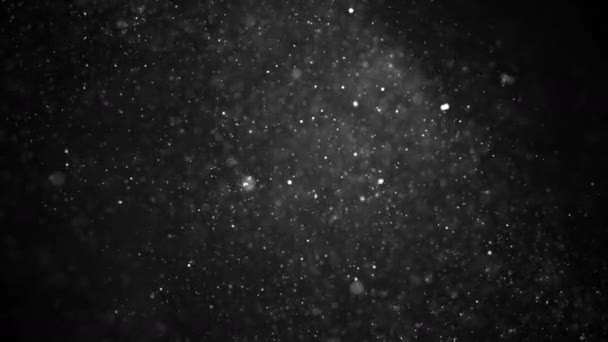 Partículas de polvo, partículas flotantes abstractas sobre fondo negro — Vídeos de Stock