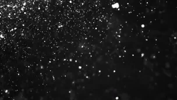 Dust particles, abstract floating particles on black background — Stock Video