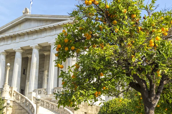 Biblioteca Nacional da Grécia Fotos De Bancos De Imagens