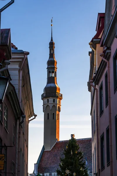 Cidade velha de Tallinn no tempo de inverno — Fotografia de Stock