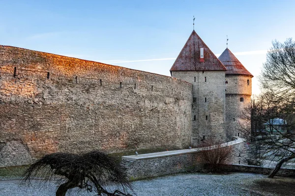 Oude stad van Tallinn in de winter — Stockfoto