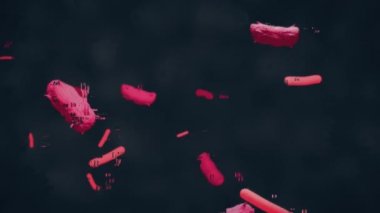 colorized scanning micrograph of some bacillus and viruses
