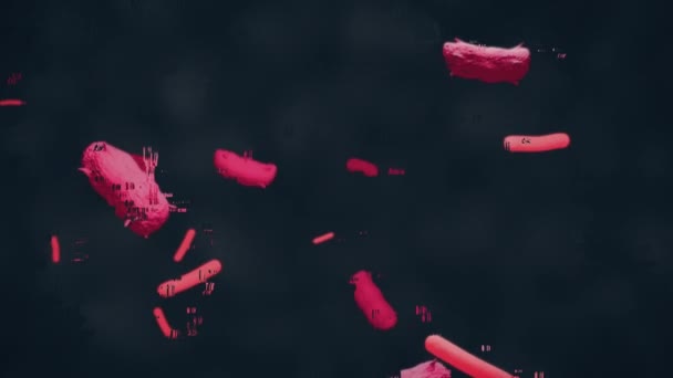 Раскрашенный сканирующий микрограф некоторых бацилл и вирусов — стоковое видео