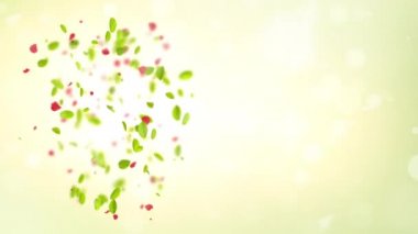 slow motion spring background with leaves bokeh and petals