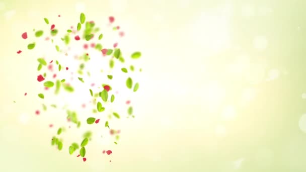 Slow motion spring background with leaves bokeh and petals — Stockvideo