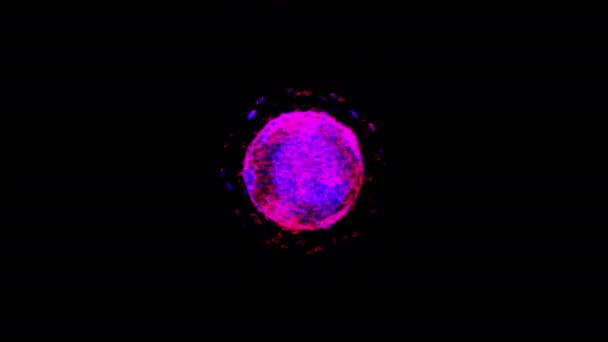 Coronavirus under microscope, monochrome computer generated animation — Stock Video