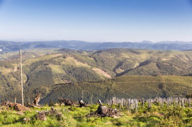 Polonya 'da bir dağ. Szczyrk yakınlarında Silesia Beskid.