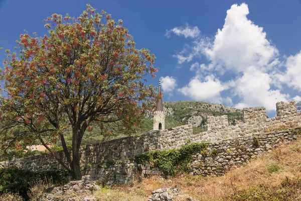 Antigua ciudad fortificada de Montenegro - Stari Grad. Paisaje con fortificación y árbol de flores . —  Fotos de Stock
