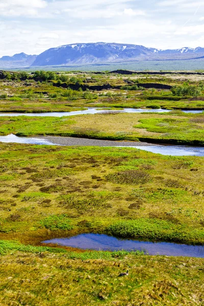 Fjell og daler i nasjonalparken. Thingvellir på Island 12.06.2017 – stockfoto