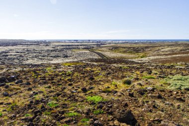 Volkanik alanlar ve çim kapak İzlanda yan görünümü