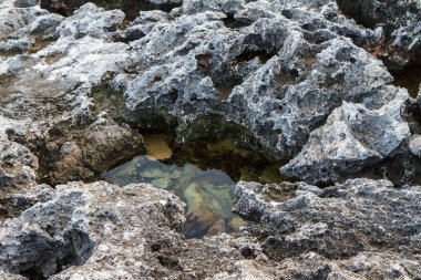Gri taş, creek yakın çekim. Mallorca, İspanya