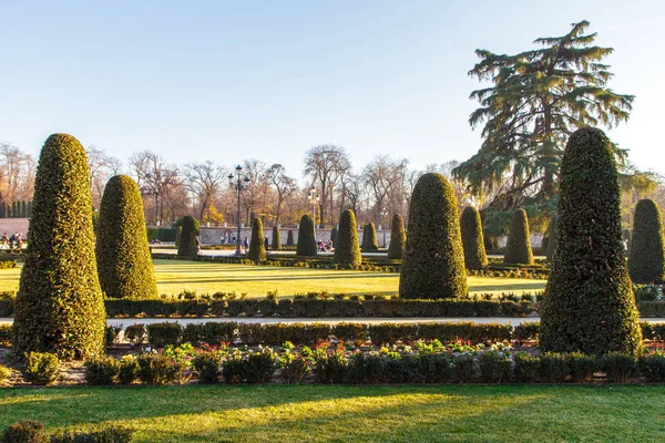 Lawn, trees and flowers in the park, Madrid. Spain — Stock Photo, Image