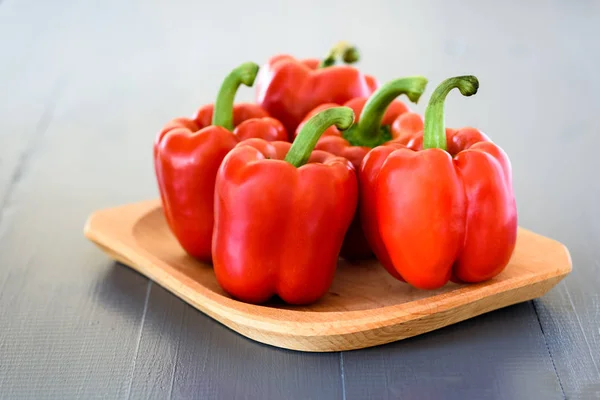 Paprik rojo sobre fondo gris — Foto de Stock