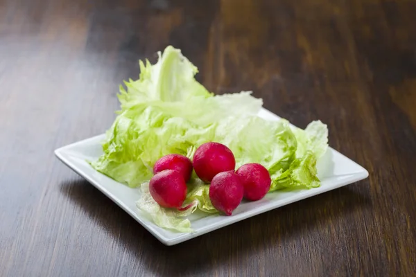 Lettuce and radish on a white plate — Stock Photo, Image