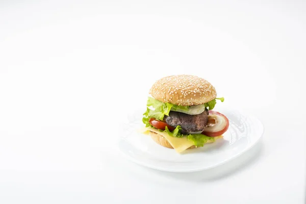 Homemade burger with cheese — Stock Photo, Image