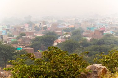Bitki örtüsü ve taşlar kutsal Govardhan Hill, Hindistan.
