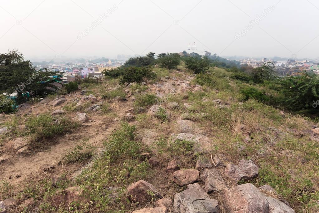 Vegetation and stones of Sacred Govardhan Hill, India.